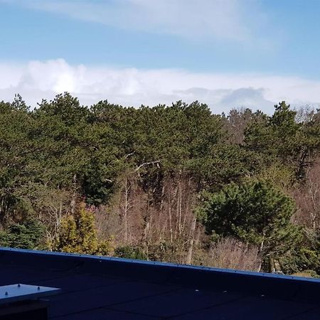 Haus Luv Und Lee, Moewennest Whg 26 Appartement Sankt Peter-Ording Buitenkant foto